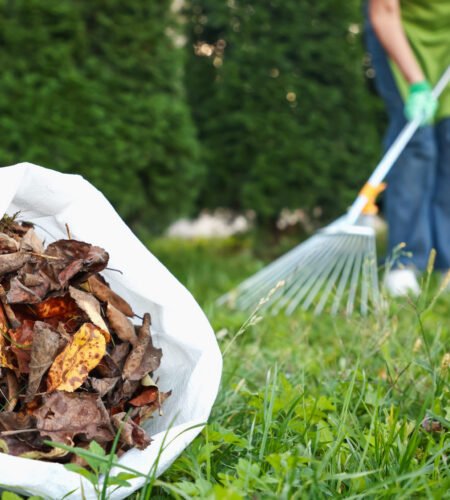 Woman gathering fallen leaves with fan rake on green lawn outdoors, selective focus